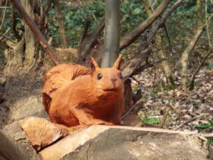 Manor Park Squirrel 2