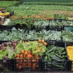 display of fruit and vegetables