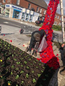 Person putting poppy display up on war memorial