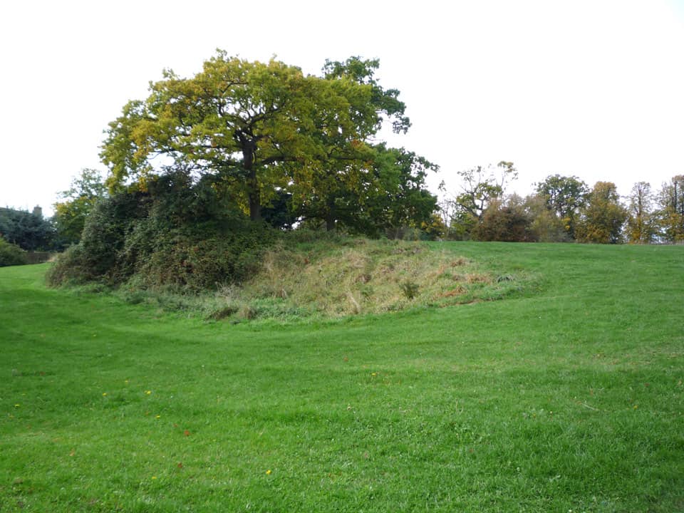 tree at the mount hill