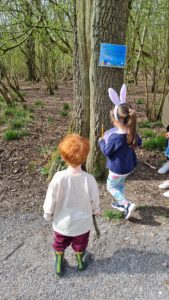 two children exploring the woods