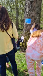 children exploring the woods