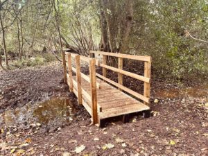 wooden bridge in manor park in the woodland