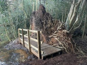 Boardwalk with tree trunk in manor park