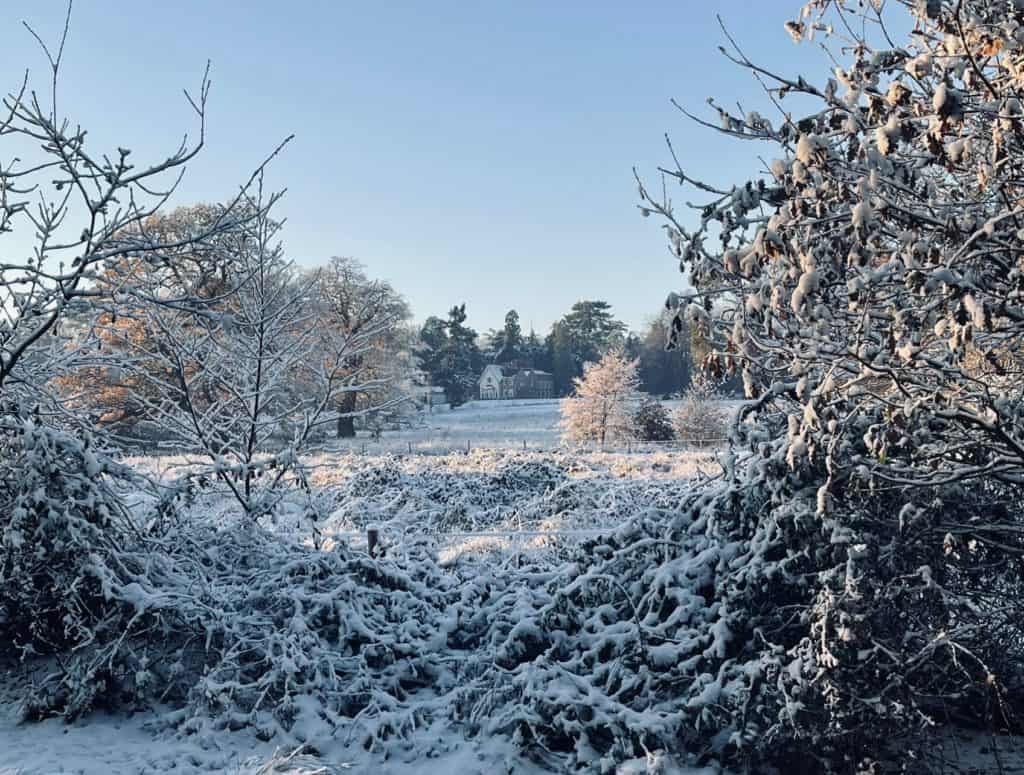 Manor Park covered in snow