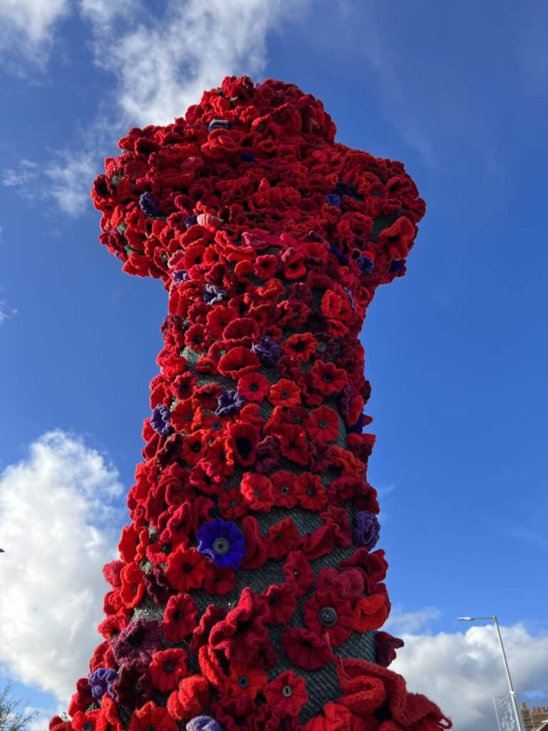 red poppies at war memorial