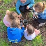 Tree planting