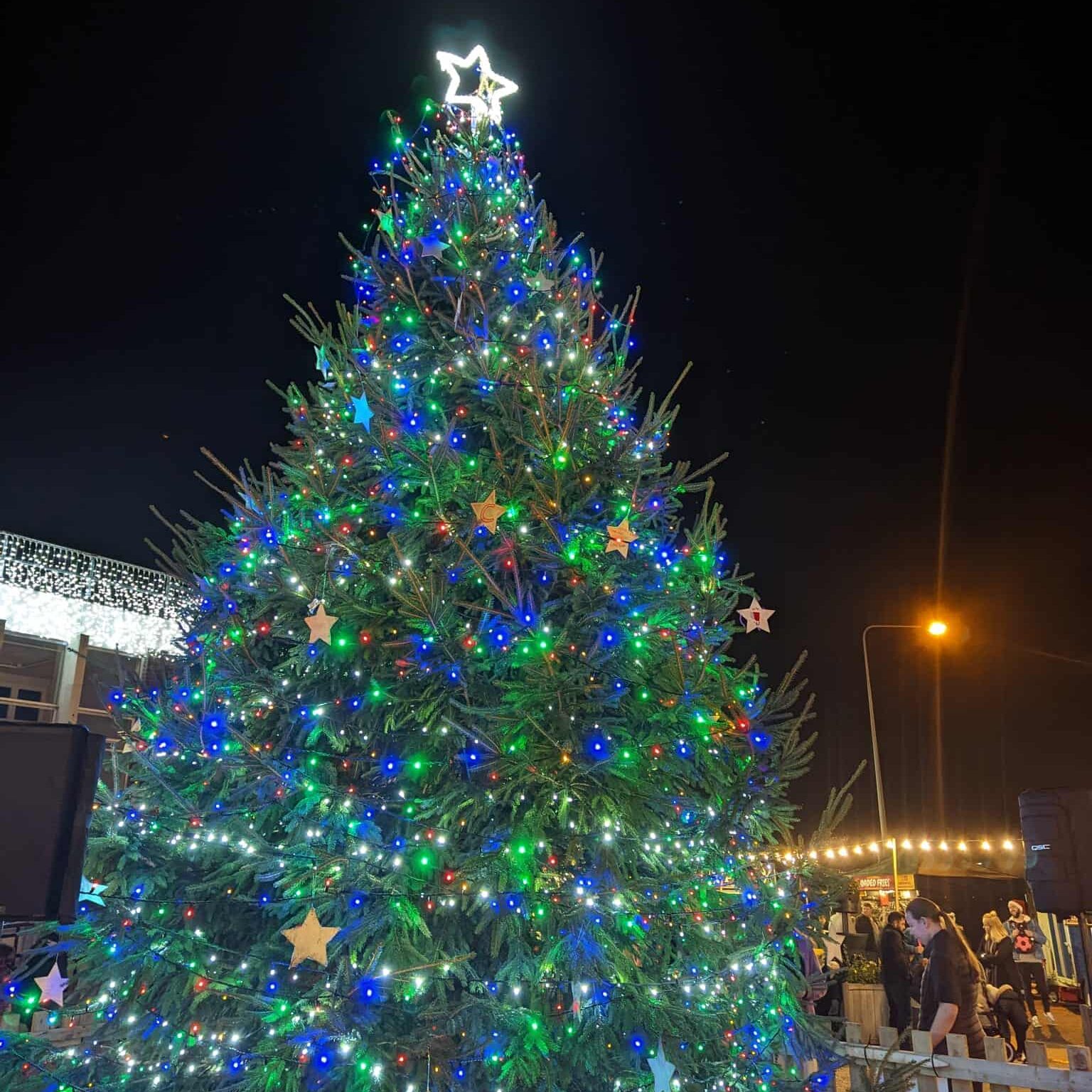 Christmas Lights 2022